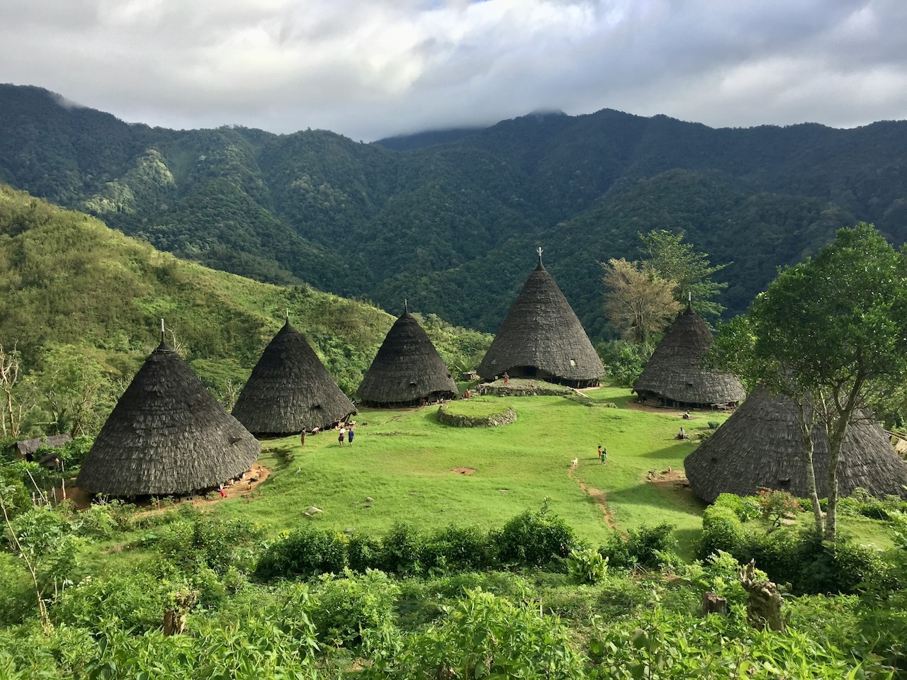 Wae Rebo Village